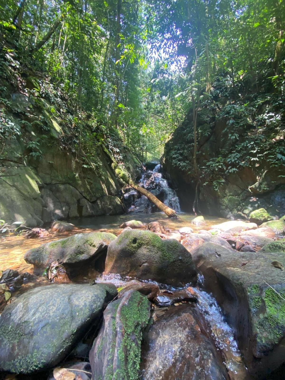 Eco Trekking Lodge, Bar & Jungle Tour'S Букит Лаванг Екстериор снимка
