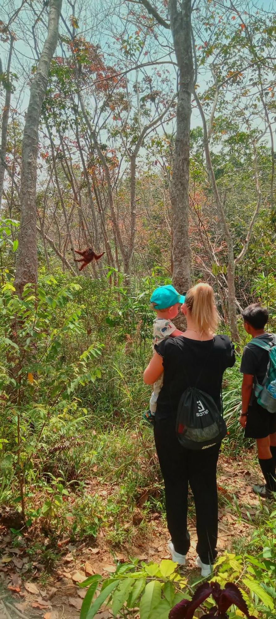 Eco Trekking Lodge, Bar & Jungle Tour'S Букит Лаванг Екстериор снимка