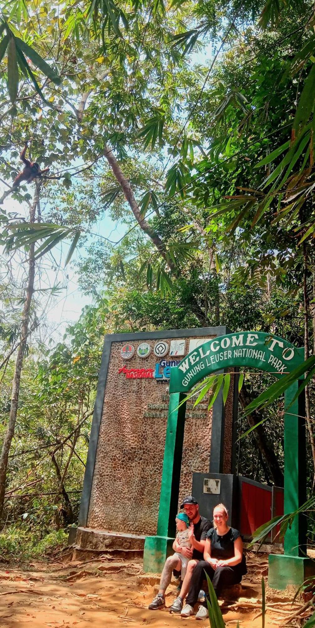 Eco Trekking Lodge, Bar & Jungle Tour'S Букит Лаванг Екстериор снимка