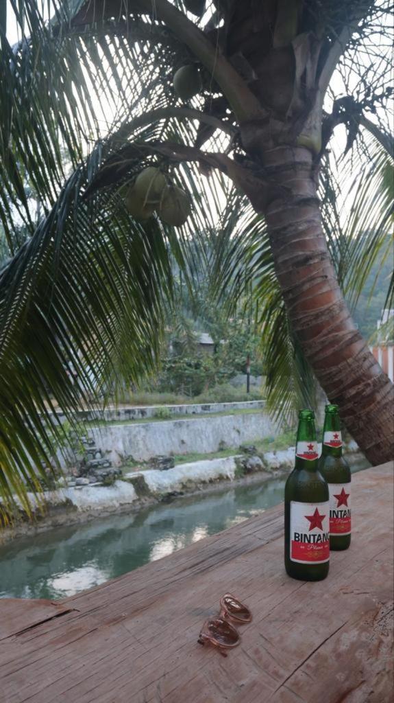 Eco Trekking Lodge, Bar & Jungle Tour'S Букит Лаванг Екстериор снимка