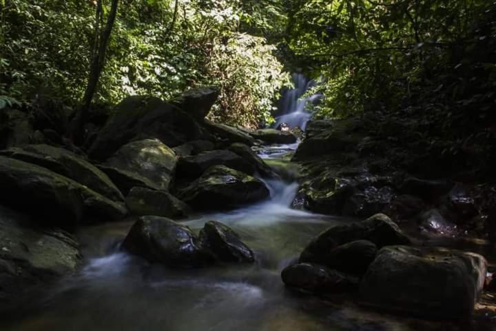 Eco Trekking Lodge, Bar & Jungle Tour'S Букит Лаванг Екстериор снимка