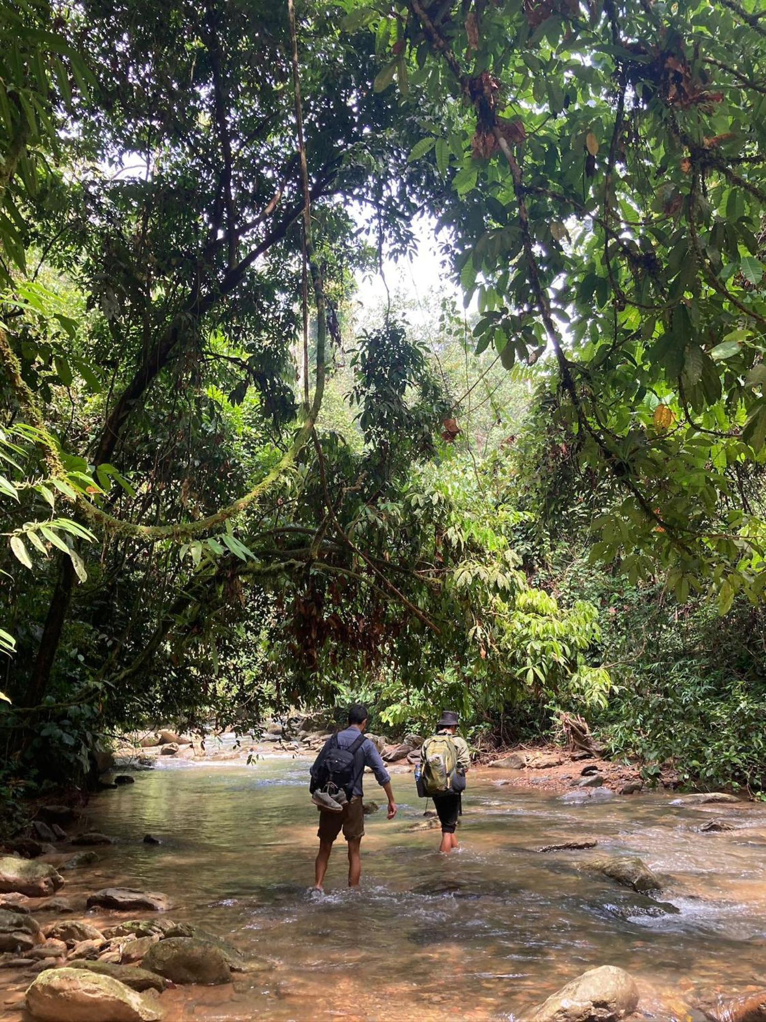 Eco Trekking Lodge, Bar & Jungle Tour'S Букит Лаванг Екстериор снимка
