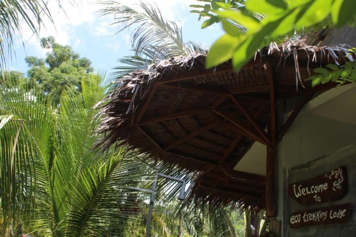 Eco Trekking Lodge, Bar & Jungle Tour'S Букит Лаванг Екстериор снимка