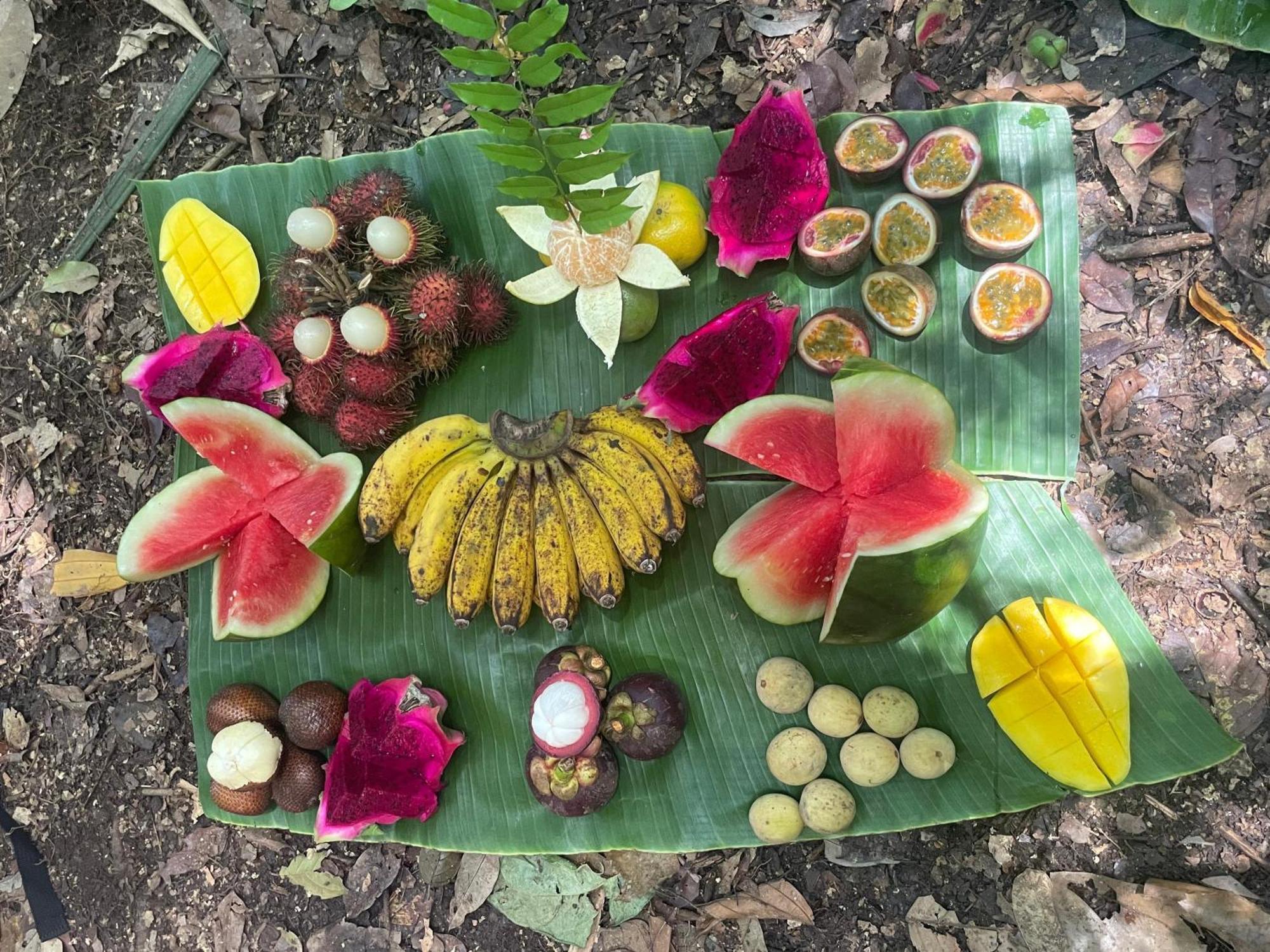 Eco Trekking Lodge, Bar & Jungle Tour'S Букит Лаванг Екстериор снимка