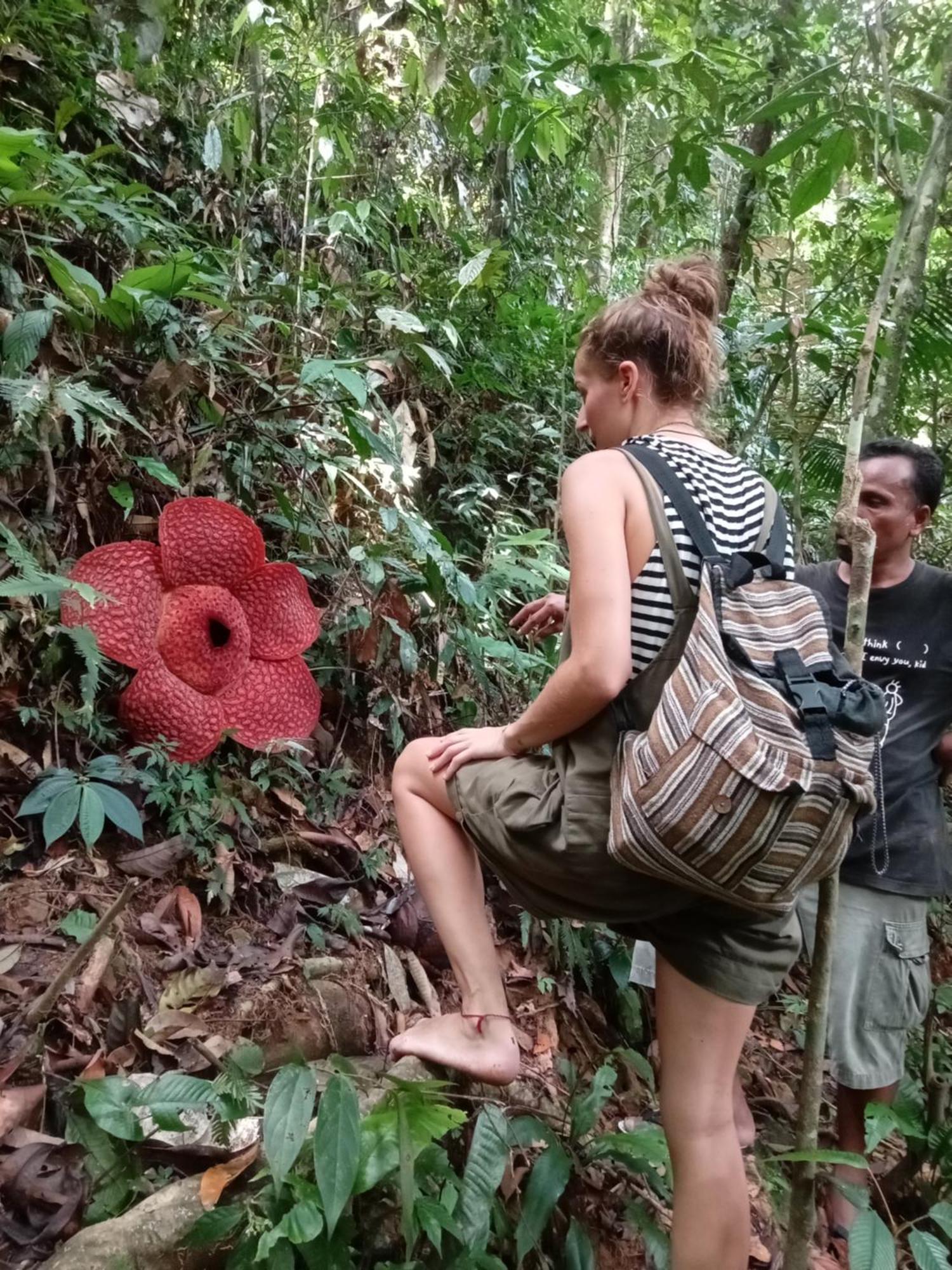 Eco Trekking Lodge, Bar & Jungle Tour'S Букит Лаванг Екстериор снимка